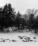 photo by Aesha Elgeneidy