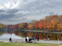 Beaver Lake by Adi Sharoni