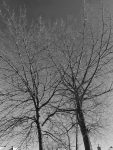 photo by Cassandra Ercoli