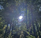 photo by  Angela Martino