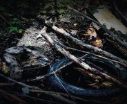 photo by  Kaeden Michlick