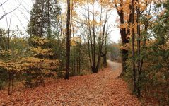 photo by  Matthew Nicolosi